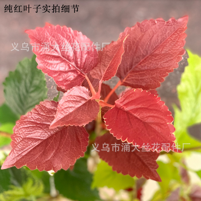 Imitate Leaves Simulation Colorful Su Wholesale Christmas Courtyard Decoration Engineering Wedding Flower Arrangement Green Plant Simulation Coleus