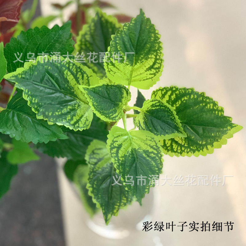 Imitate Leaves Simulation Colorful Su Wholesale Christmas Courtyard Decoration Engineering Wedding Flower Arrangement Green Plant Simulation Coleus