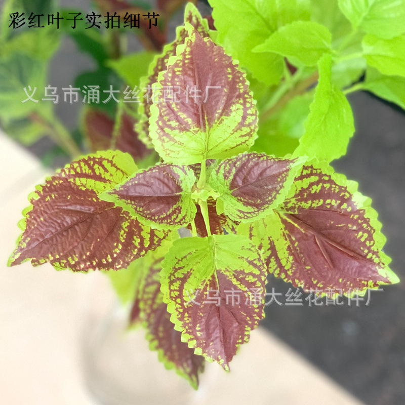 Imitate Leaves Simulation Colorful Su Wholesale Christmas Courtyard Decoration Engineering Wedding Flower Arrangement Green Plant Simulation Coleus