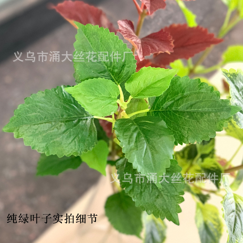 Imitate Leaves Simulation Colorful Su Wholesale Christmas Courtyard Decoration Engineering Wedding Flower Arrangement Green Plant Simulation Coleus