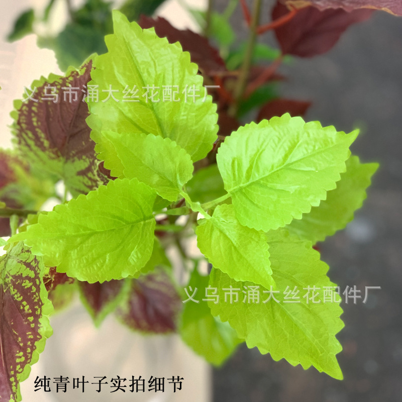 Imitate Leaves Simulation Colorful Su Wholesale Christmas Courtyard Decoration Engineering Wedding Flower Arrangement Green Plant Simulation Coleus