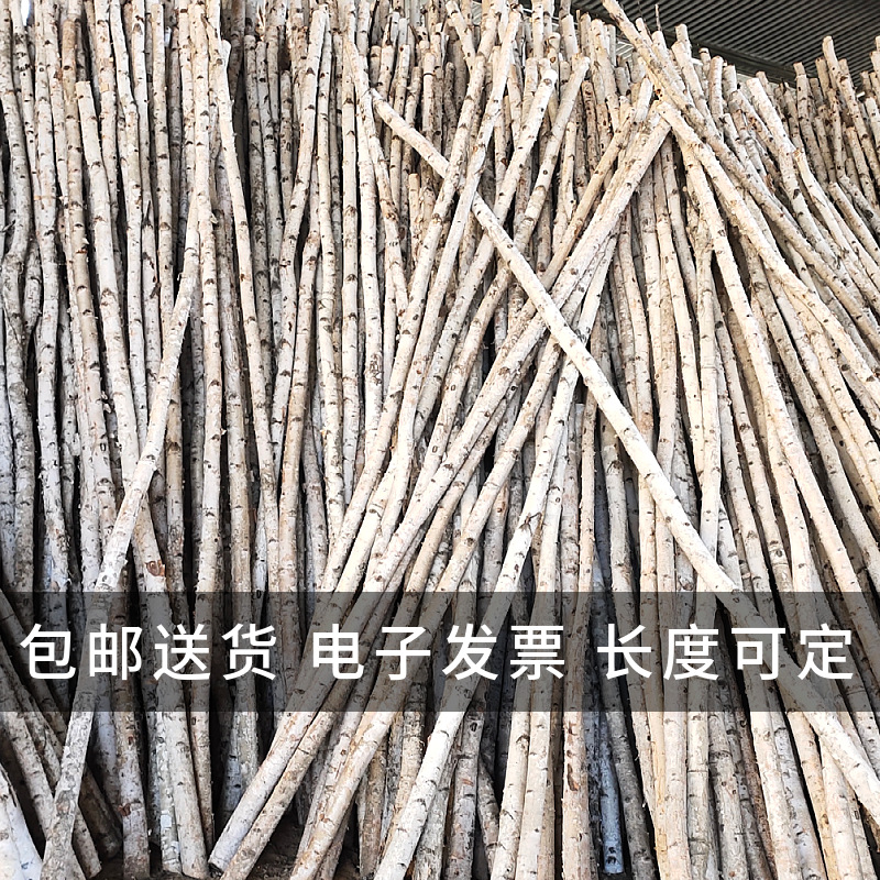 Natural Silver Birch Dried Decorative Log Birch Pole Hallway Subareas Screens Wedding Flower Stand Shape Dried Branches Art Gallery