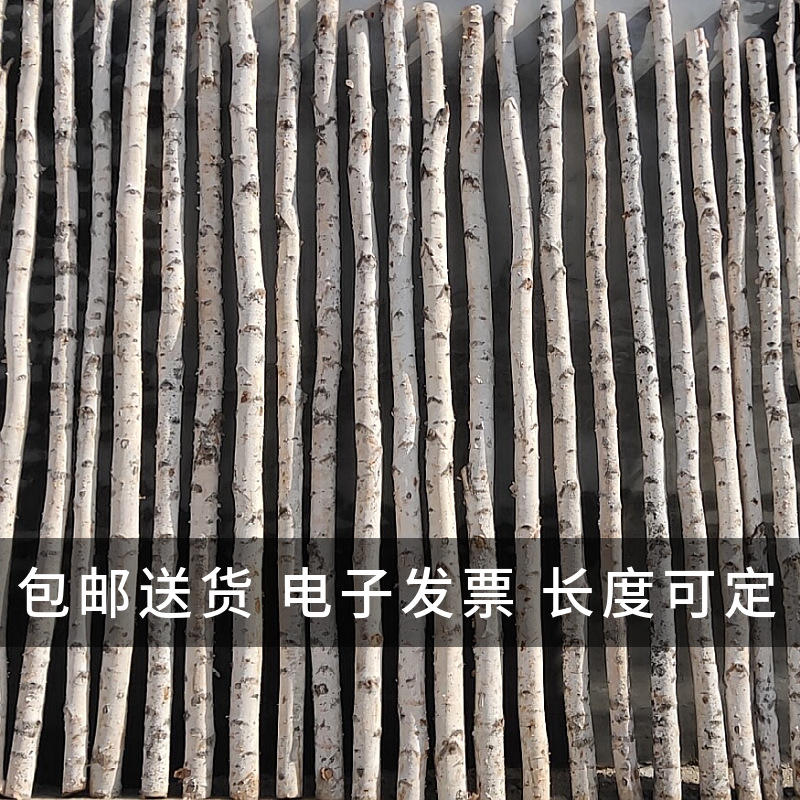 Natural Silver Birch Dried Decorative Log Birch Pole Hallway Subareas Screens Wedding Flower Stand Shape Dried Branches Art Gallery