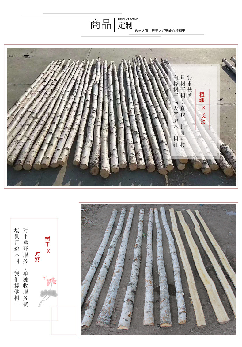 Natural Silver Birch Dried Decorative Log Birch Pole Hallway Subareas Screens Wedding Flower Stand Shape Dried Branches Art Gallery