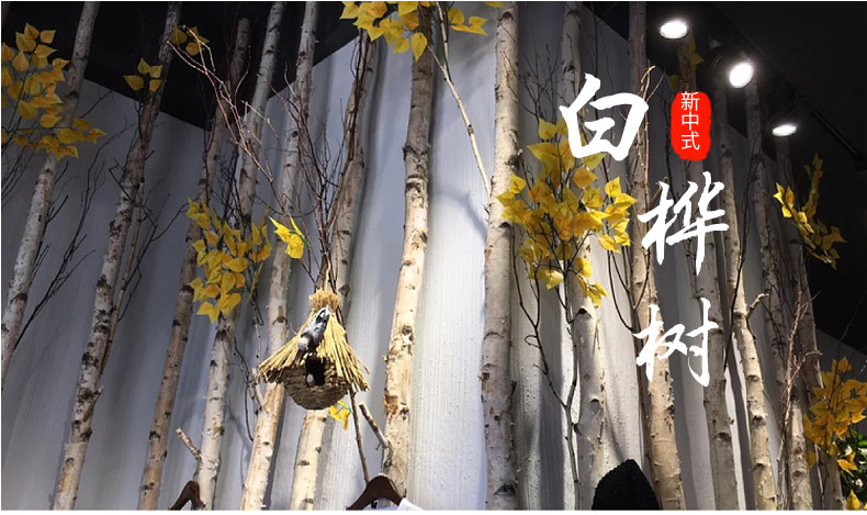 Natural Silver Birch Dried Decorative Log Birch Pole Hallway Subareas Screens Wedding Flower Stand Shape Dried Branches Art Gallery