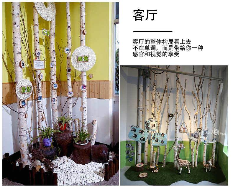 Natural Silver Birch Dried Decorative Log Birch Pole Hallway Subareas Screens Wedding Flower Stand Shape Dried Branches Art Gallery