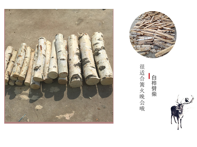 Natural Silver Birch Dried Decorative Log Birch Pole Hallway Subareas Screens Wedding Flower Stand Shape Dried Branches Art Gallery