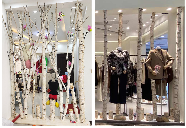 Natural Silver Birch Dried Decorative Log Birch Pole Hallway Subareas Screens Wedding Flower Stand Shape Dried Branches Art Gallery