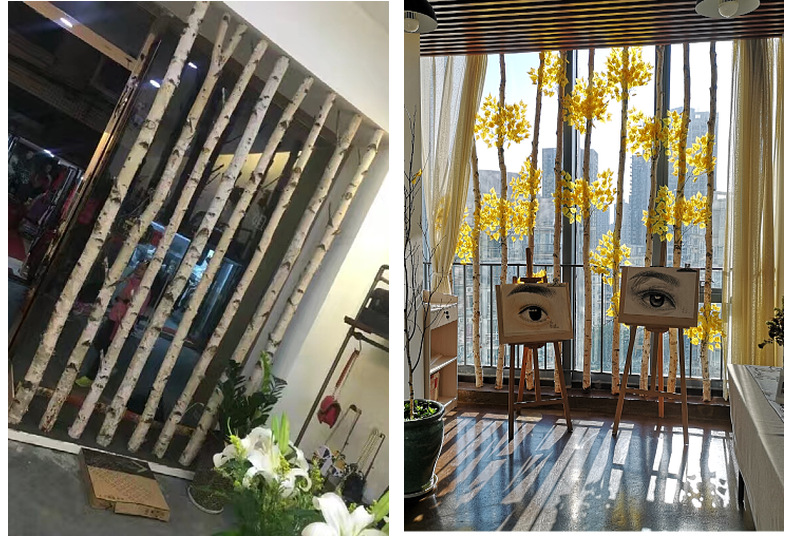 Natural Silver Birch Dried Decorative Log Birch Pole Hallway Subareas Screens Wedding Flower Stand Shape Dried Branches Art Gallery