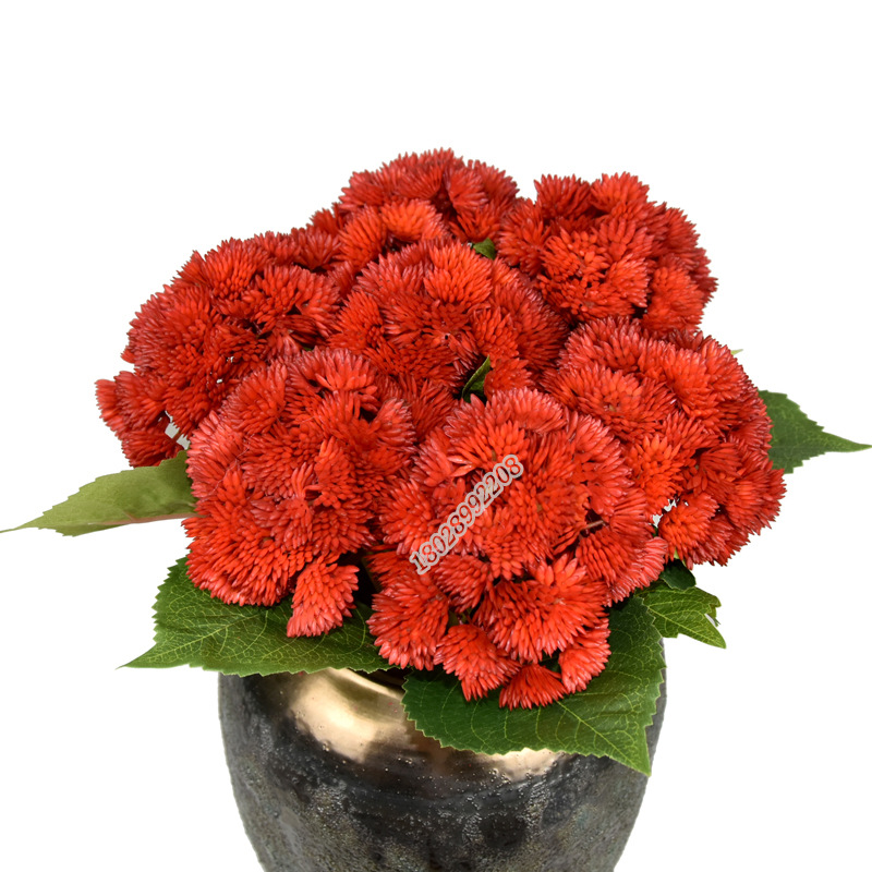 Tree Cat Artificial Flower Feel Aglaia Fruit 38cm Cauliflower Soft Glue Hydrangea Fruit Decoration Fake Succulent Wedding Flower Arrangement and Floriculture