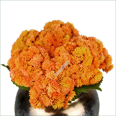 Tree Cat Artificial Flower Feel Aglaia Fruit 38cm Cauliflower Soft Glue Hydrangea Fruit Decoration Fake Succulent Wedding Flower Arrangement and Floriculture