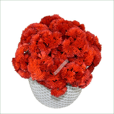 Tree Cat Artificial Flower Feel Aglaia Fruit 38cm Cauliflower Soft Glue Hydrangea Fruit Decoration Fake Succulent Wedding Flower Arrangement and Floriculture