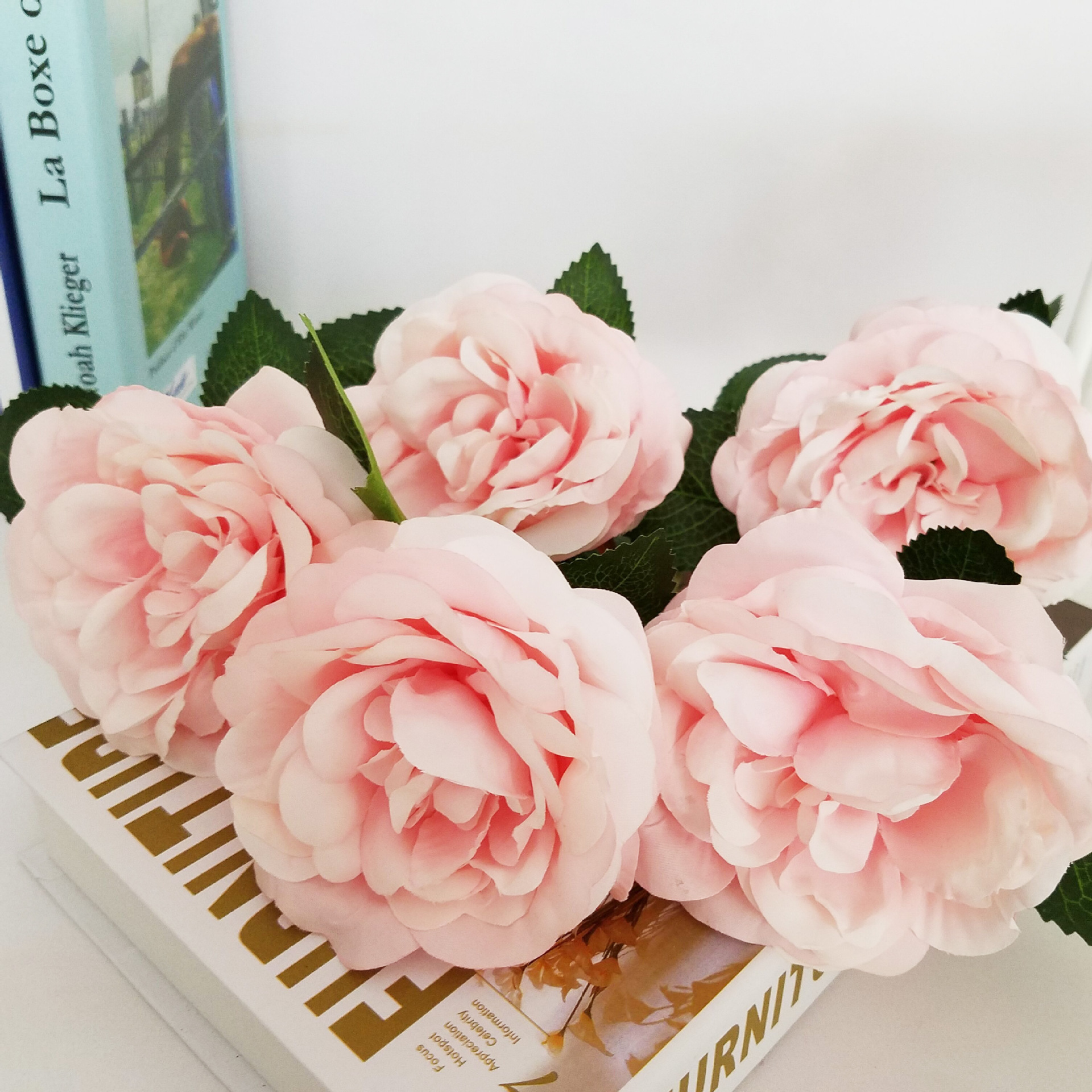 Single night rose 5 European high-grade flowers wedding flower color