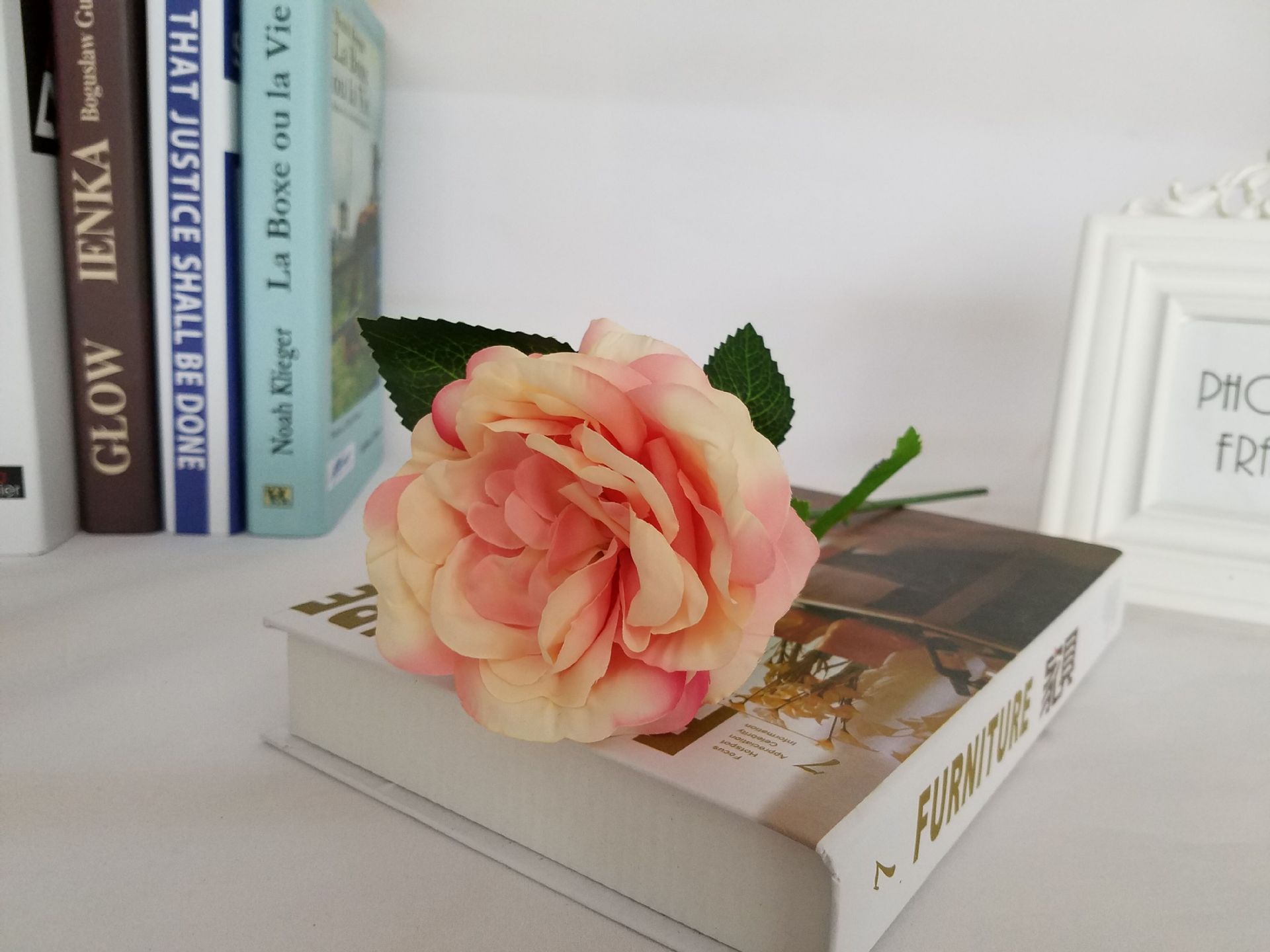 Single night rose 5 European high-grade flowers wedding flower color