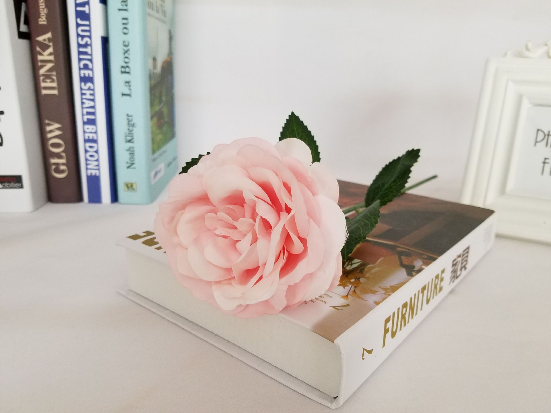 Single night rose 5 European high-grade flowers wedding flower color