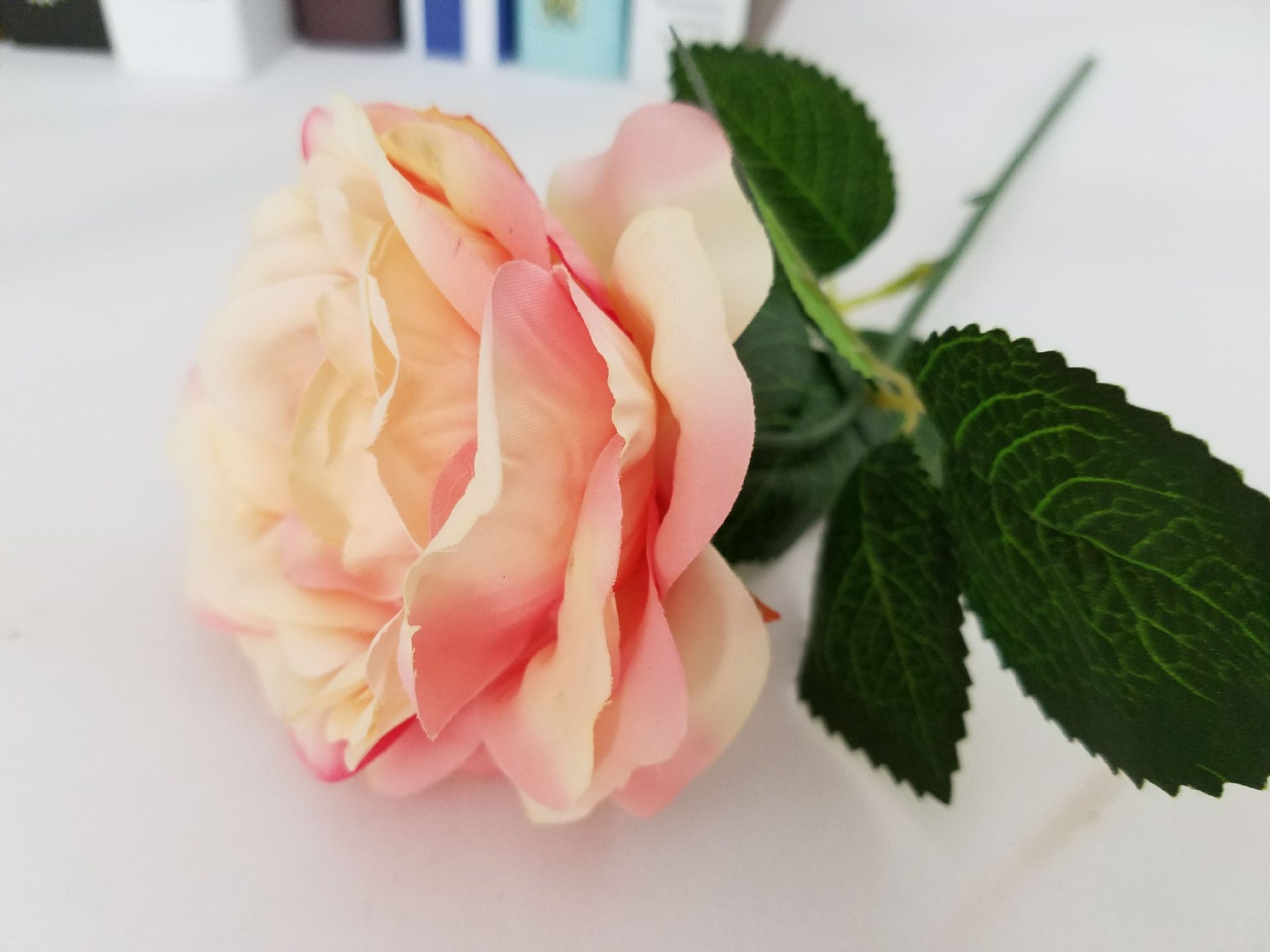 Single night rose 5 European high-grade flowers wedding flower color