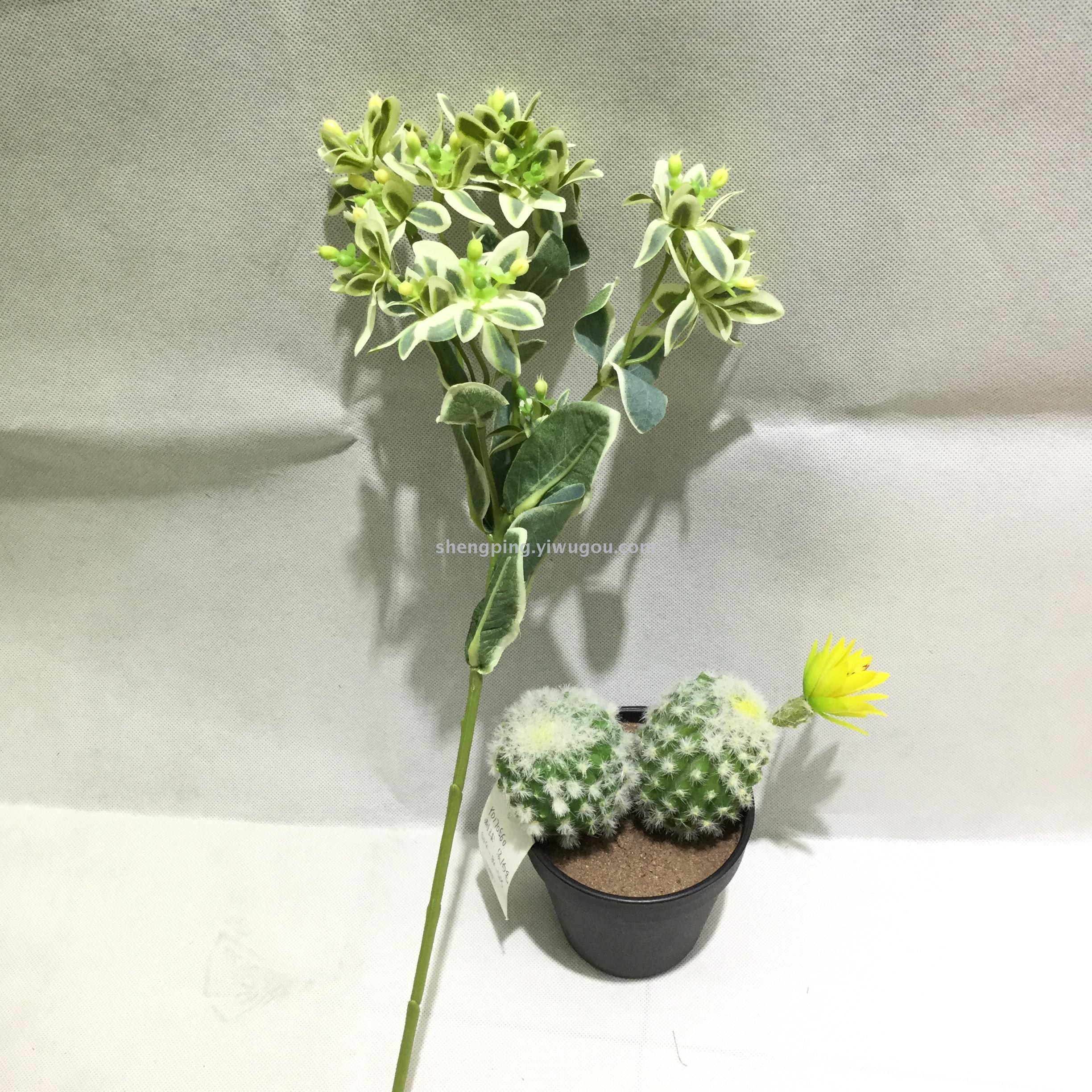 Pure and fresh simulation flower green plant leaves single branch Ming cotyledon silver edge cui white edge leaf home wedding flower arrangement fake flower wholesale