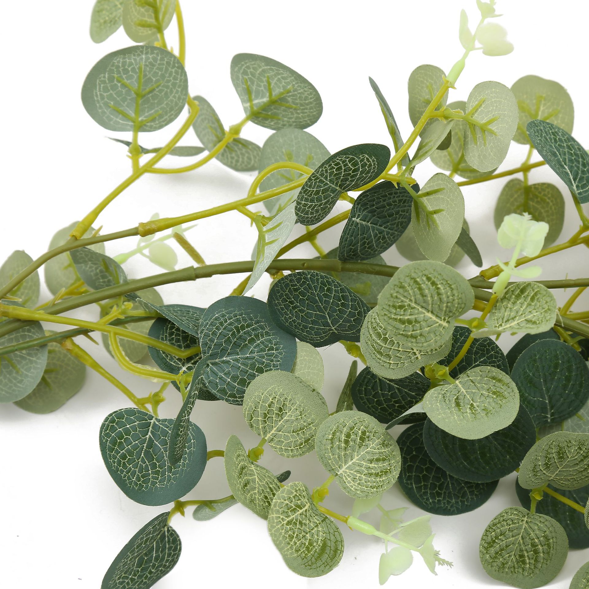 Amazon Same Style Eucalyptus Leaf Rose Vine Artificial Flower Rose Eucalyptus Wedding flower Amazon Same Style Eucalyptus Leaf Rose Vine Artificial Flower Rose Eucalyptus Wedding flower