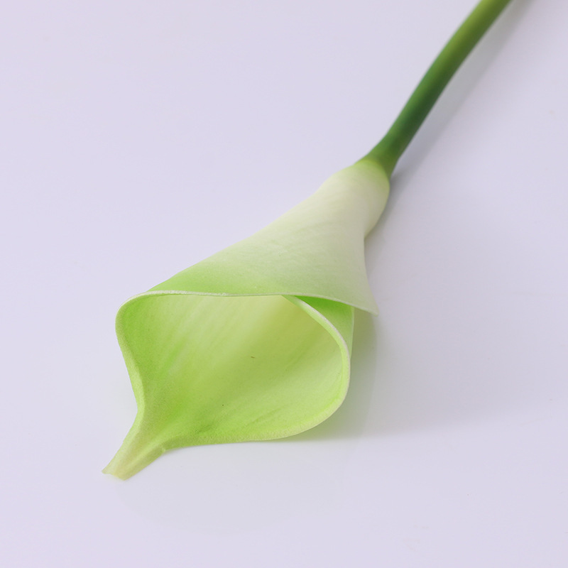 Yibo High-quality Imitation Plant Pu Artificial Flower Sea Taro Common Calla Home Decoration Wedding Flower Direct Photography Wholesale Yibo High-quality Imitation Plant Pu Artificial Flower Sea Taro Common Calla Home Decoration Wedding Flower Direct Photography Wholesale