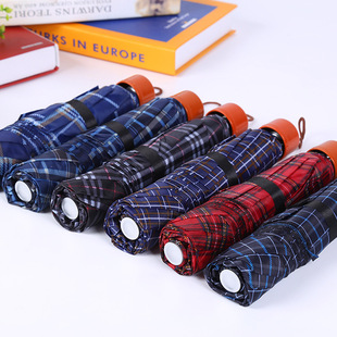 Colorful Transparent Umbrella Straight Rod Automatic Umbrella Long Handle Umbrella Umbrella Logo