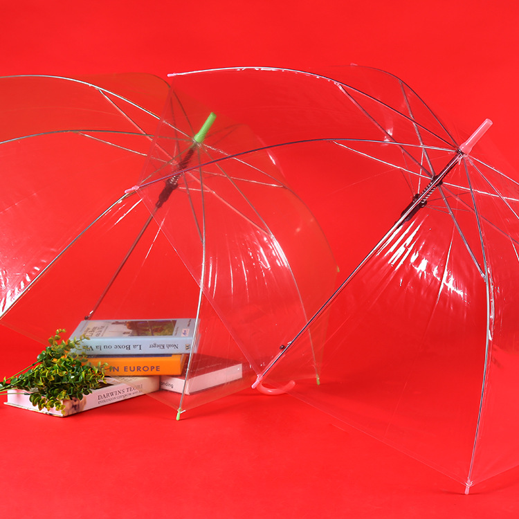 Colorful Transparent Umbrella Straight Rod Automatic Umbrella Long Handle Umbrella Umbrella Logo