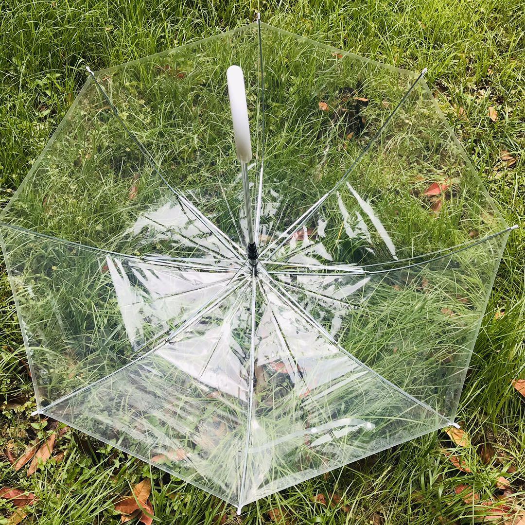 Ins Transparent Umbrella Long Handle Photo Essential Internet Celebrity Student Girls Thick 8 Bones Fresh Wholesale Ins Transparent Umbrella Long Handle Photo Essential Internet Celebrity Student Girls Thick 8 Bones Fresh Wholesale