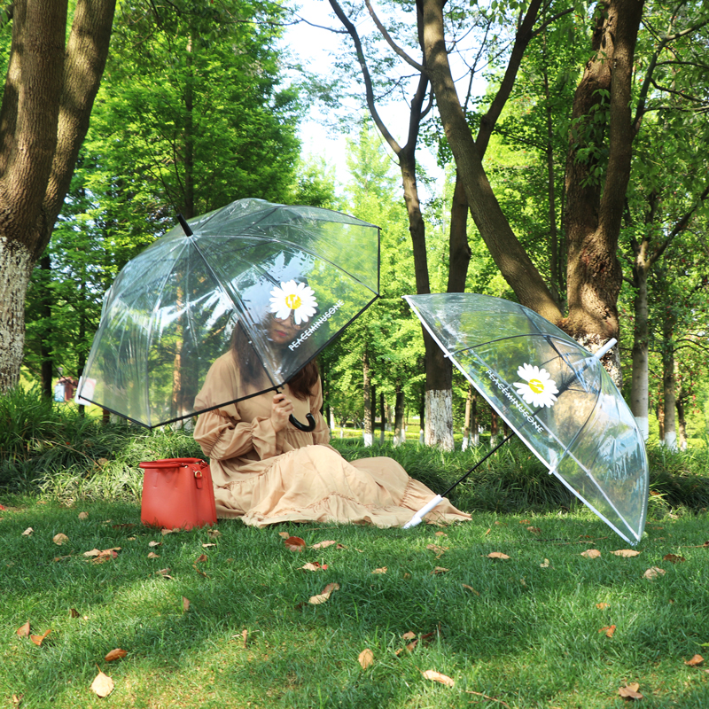 Rst116-cj small chrysanthemum umbrella transparent umbrella, dragon umbrella long handle umbrella web celebrity wholesale