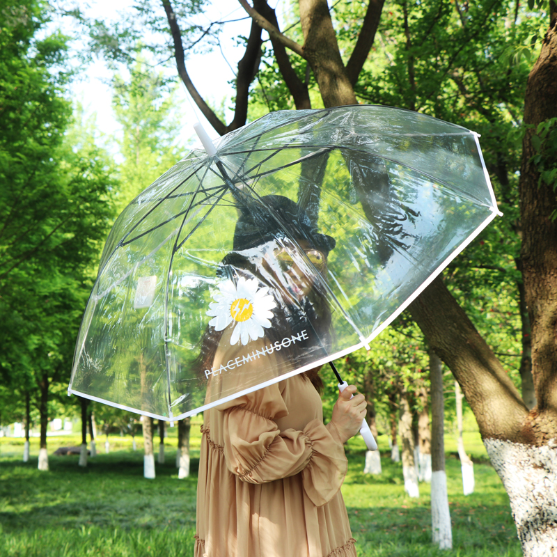 Rst116-cj small chrysanthemum umbrella transparent umbrella, dragon umbrella long handle umbrella web celebrity wholesale