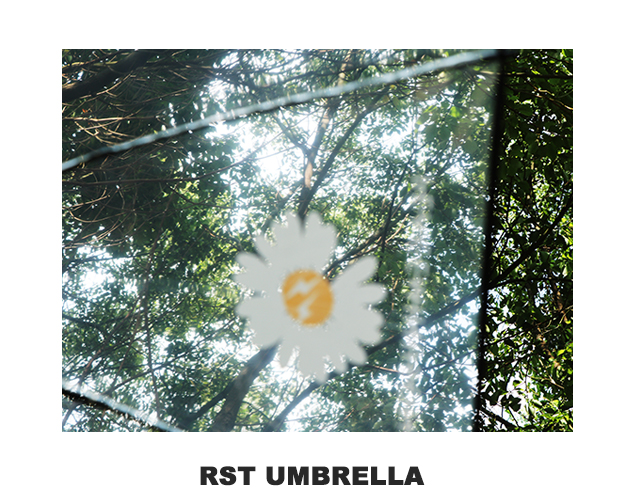 Rst116-cj small chrysanthemum umbrella transparent umbrella, dragon umbrella long handle umbrella web celebrity wholesale