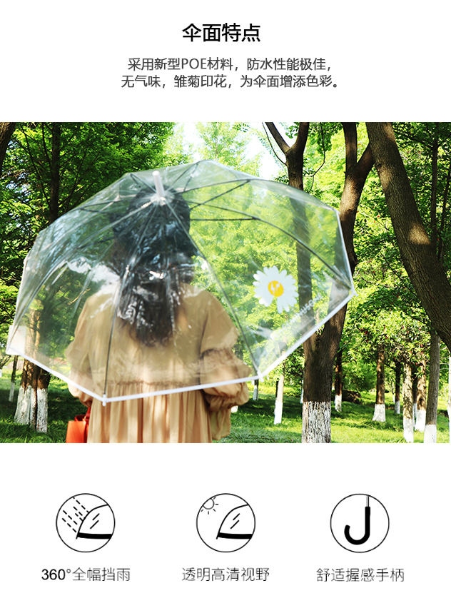 Rst116-cj small chrysanthemum umbrella transparent umbrella, dragon umbrella long handle umbrella web celebrity wholesale