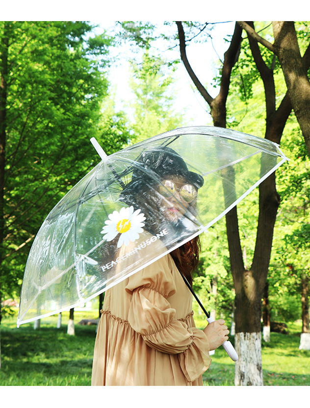 Rst116-cj small chrysanthemum umbrella transparent umbrella, dragon umbrella long handle umbrella web celebrity wholesale