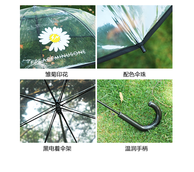 Rst116-cj small chrysanthemum umbrella transparent umbrella, dragon umbrella long handle umbrella web celebrity wholesale