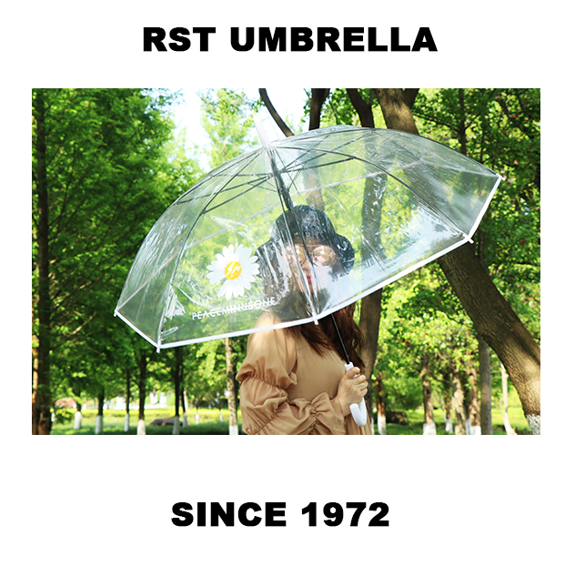 Rst116-cj small chrysanthemum umbrella transparent umbrella, dragon umbrella long handle umbrella web celebrity wholesale