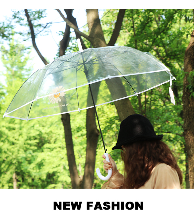 Rst116-cj small chrysanthemum umbrella transparent umbrella, dragon umbrella long handle umbrella web celebrity wholesale
