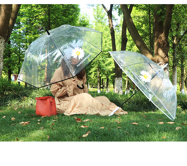 Rst116-cj small chrysanthemum umbrella transparent umbrella, dragon umbrella long handle umbrella web celebrity wholesale