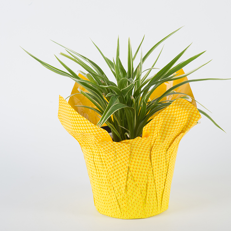 plant pot cover christmas flower pot covers