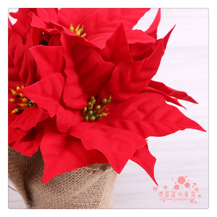 Simulation of poinsettia plant Christmas flower Christmas red artificial flower Simulation of poinsettia plant Christmas flower Christmas red artificial flower