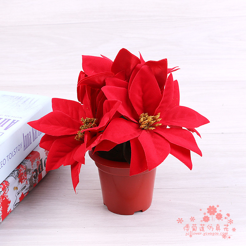 Imitation flower silk flower fake flower Christmas flower a red potted plant.