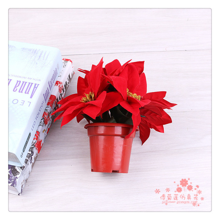 Imitation flower silk flower fake flower Christmas flower a red potted plant.