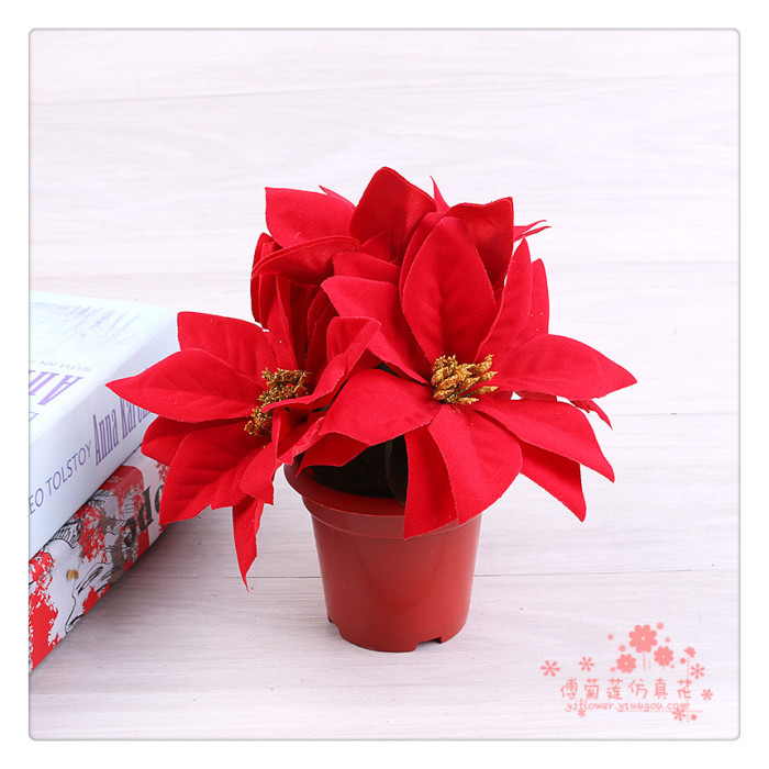 Imitation flower silk flower fake flower Christmas flower a red potted plant.