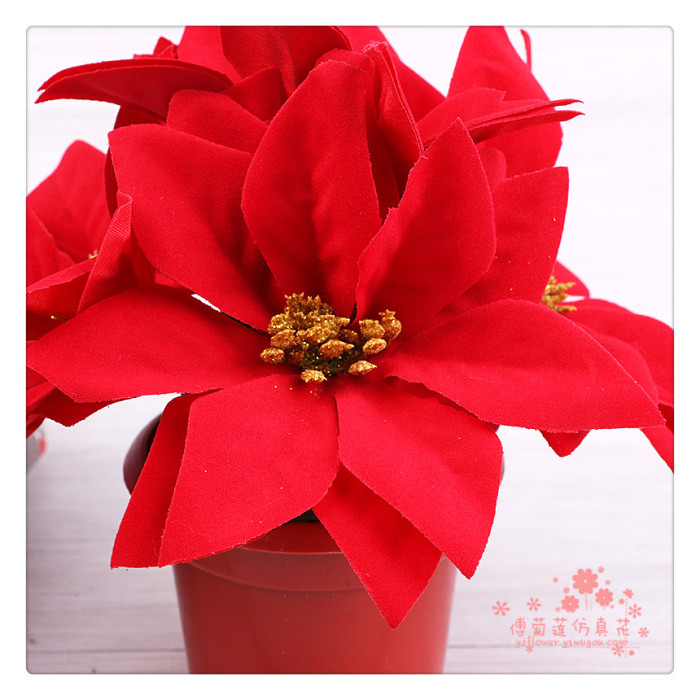 Imitation flower silk flower fake flower Christmas flower a red potted plant.