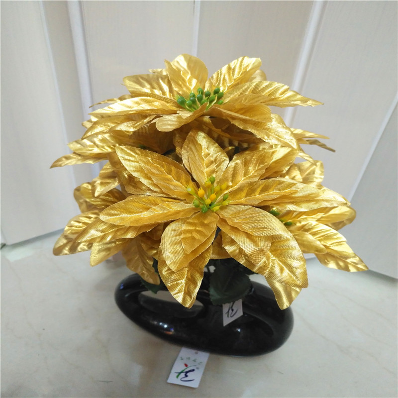 Christmas flower