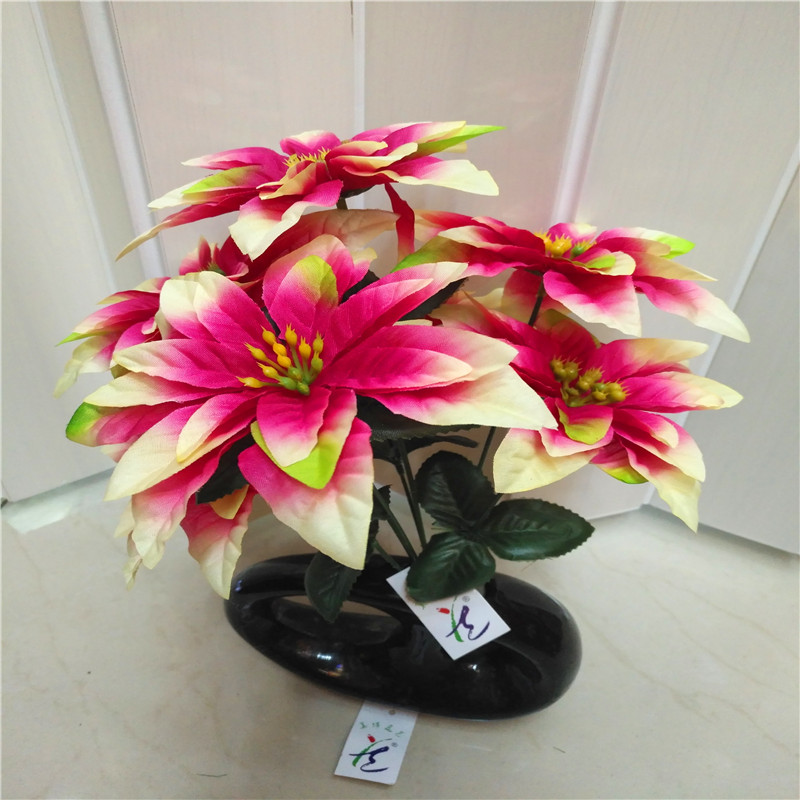 Christmas flower