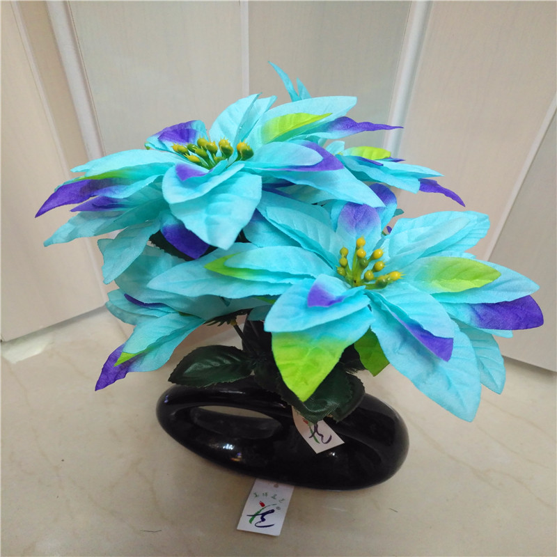 Christmas flower