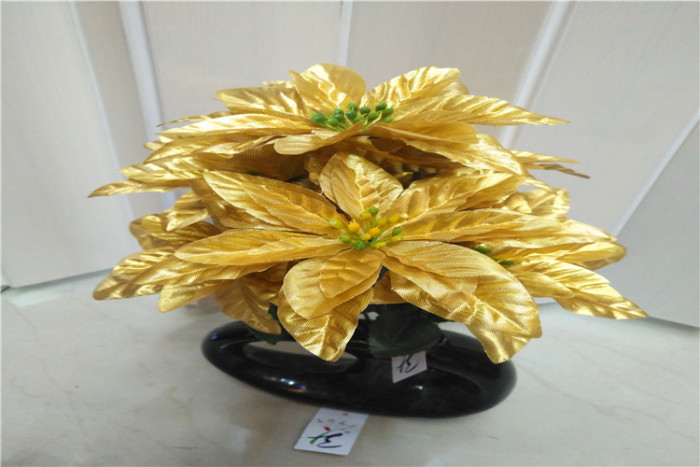 Christmas flower
