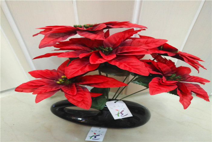 Christmas flower