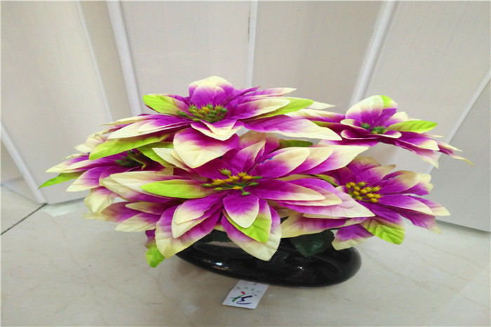 Christmas flower