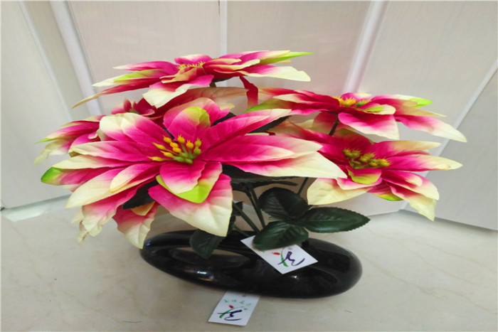 Christmas flower