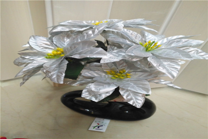 Christmas flower