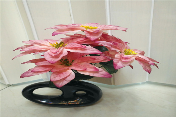 Christmas flower